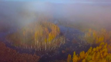 Yoğun siste bataklığa doğru uçuyor.