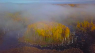 Yoğun siste bataklığa doğru uçuyor.