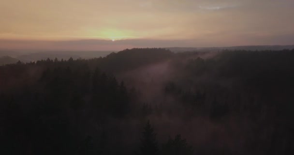 Pôr do sol acima de florestas nebulosas na Lituânia, Europa — Vídeo de Stock