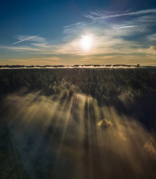 Vista aérea de raios de luz épicos sobre a floresta no Outono — Fotografia de Stock