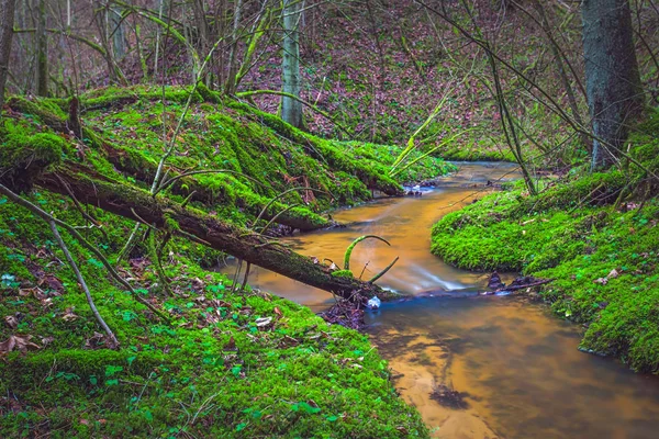 Zelená krajina s malou řekou v lesích — Stock fotografie