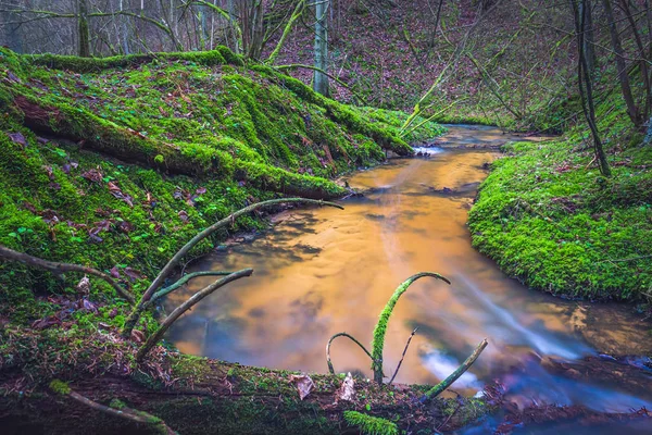 Zelená krajina s malou řekou v lesích — Stock fotografie