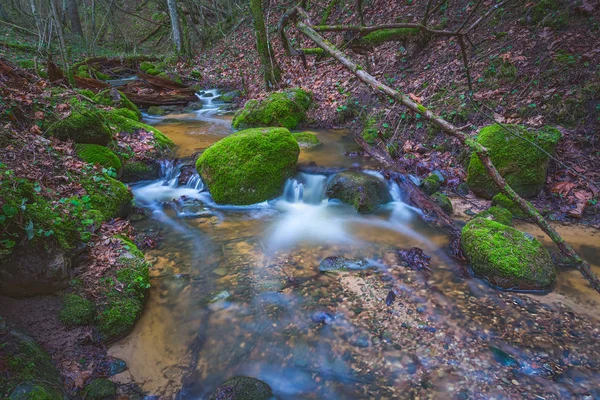 Zelená krajina s malou řekou v lesích — Stock fotografie