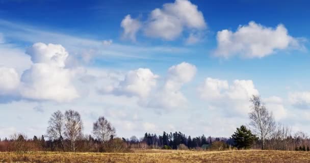 Puffy cumulus clouds moving fast across the sky — Stockvideo