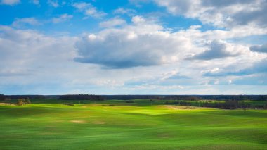 Yay Yuvarlanan Yeşil Tepeler Buğday Tarlalarıyla.