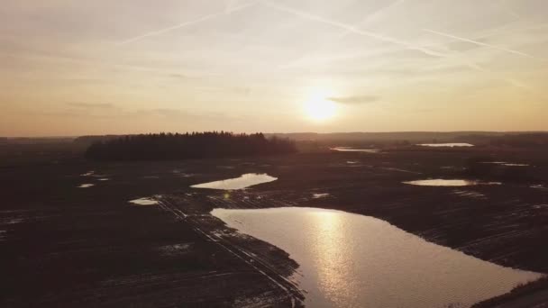 Vijvers met regenwater in de voorjaarsvelden — Stockvideo