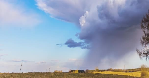 Kumuluswolken ziehen mit Lärche über Feld — Stockvideo
