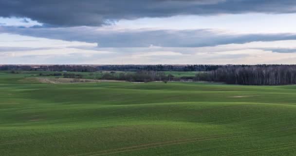La luz del sol se mueve a través de la primavera Rolling Green Hills con campos de trigo — Vídeos de Stock