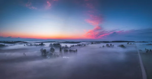 Туман и туман, покрывающие лес в Литве — стоковое фото