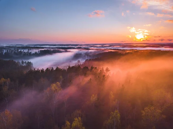 Туман і туман, що вкривають Литву. — стокове фото
