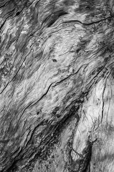 Old natural wood texture, background pattern of old wood — Stock Photo, Image