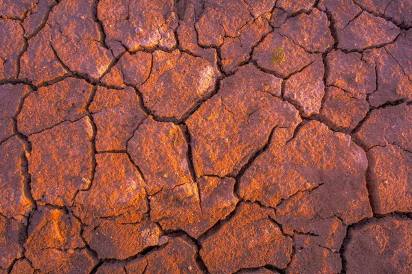 Sprucken jord, metaforisk för klimatförändringar och global uppvärmning — Stockfoto