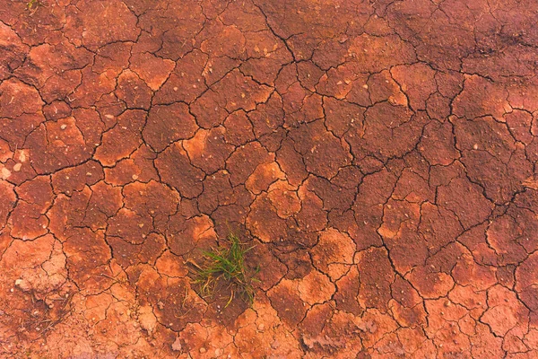 Tierra agrietada, metáfora para el cambio climático y el calentamiento global —  Fotos de Stock
