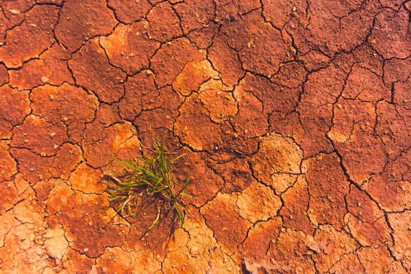 Çatlak toprak, iklim değişikliği ve küresel ısınma metaforu — Stok fotoğraf
