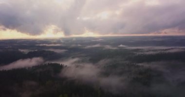 Tarlalar ve ormanlar üzerinde mistik ve sisli uçuş