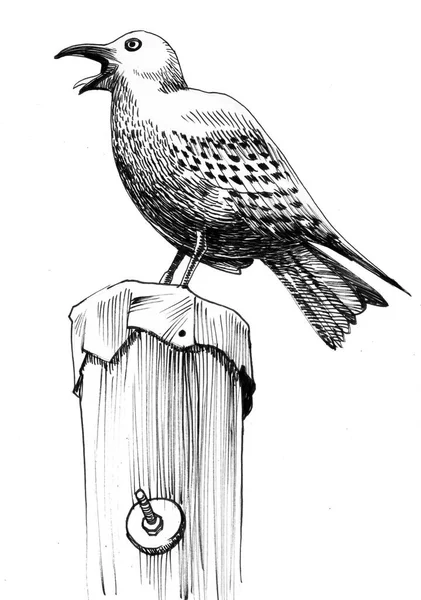 Sitting Seagull Ink Black White Illustration — Stock Photo, Image