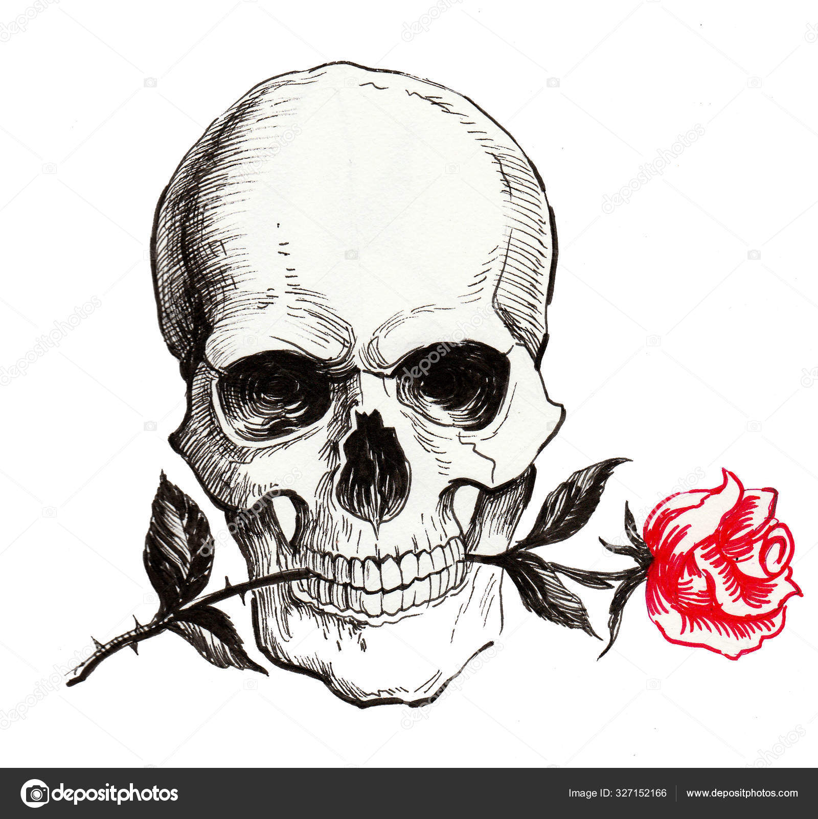 My Image 28