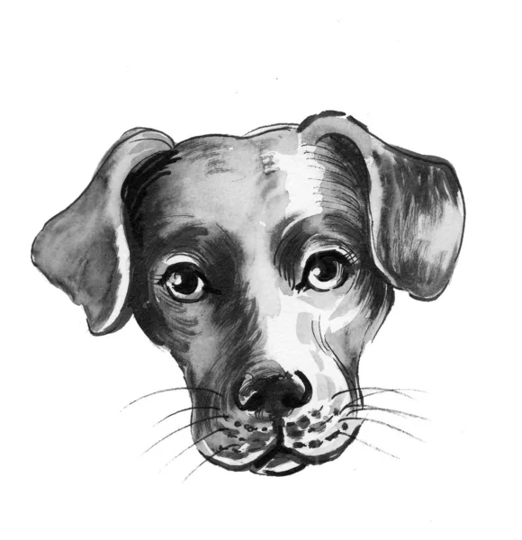 Puppy Head Ink Black White Drawing — Stock Photo, Image