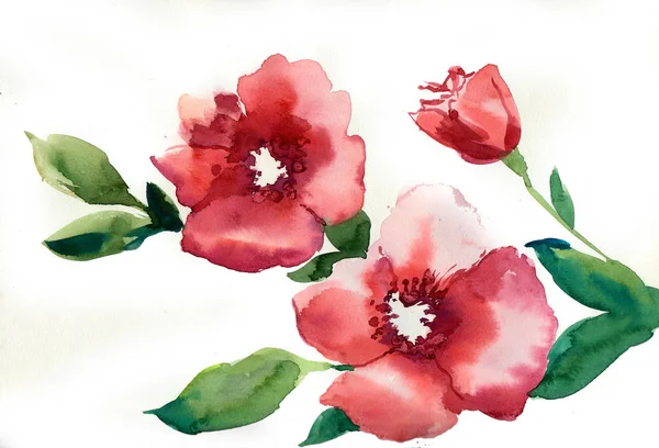 Прекрасні Червоні Квіти Акварельний Живопис — стокове фото
