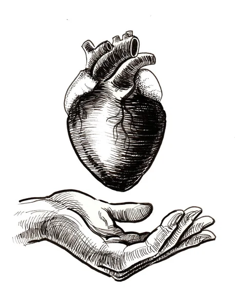 Mão Coração Humano Tinta Desenho Preto Branco — Fotografia de Stock