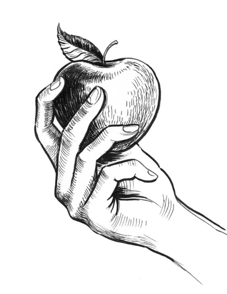 Elma Meyvesi Tutarken Mürekkep Siyah Beyaz Çizim — Stok fotoğraf