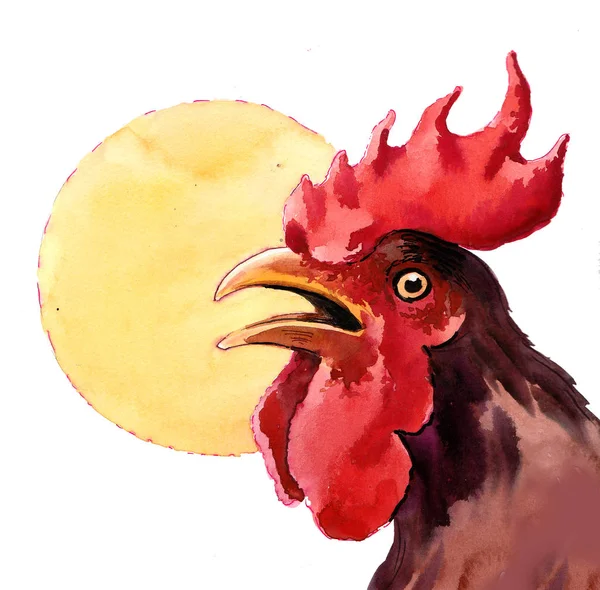 公鸡的头和太阳 水彩画 — 图库照片