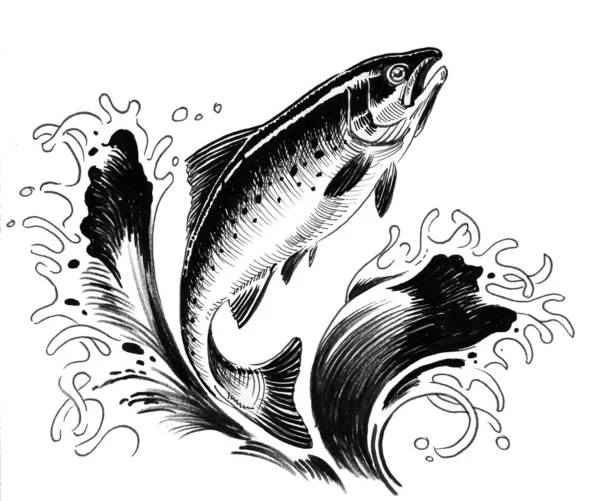 Jumping salmon fish. Ink and watercolor illustration