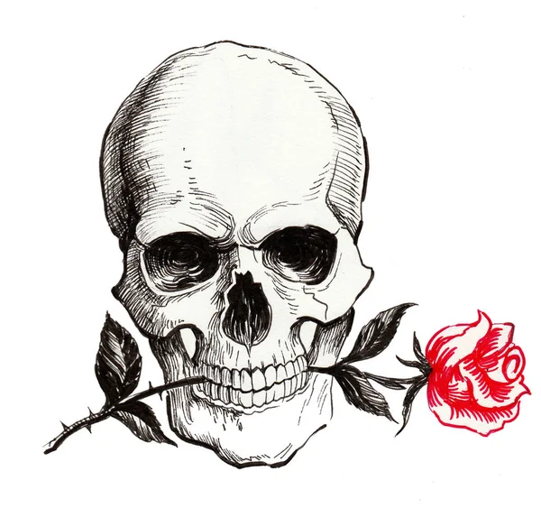 Cráneo Humano Con Una Flor Rosa Los Dientes Dibujo Blanco — Foto de Stock