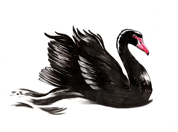 Cisne Natação Preto Tinta Aquarela Ilustração — Fotografia de Stock