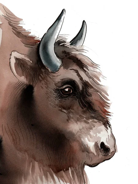 Bisonte Americano Tinta Aquarela Ilustração — Fotografia de Stock