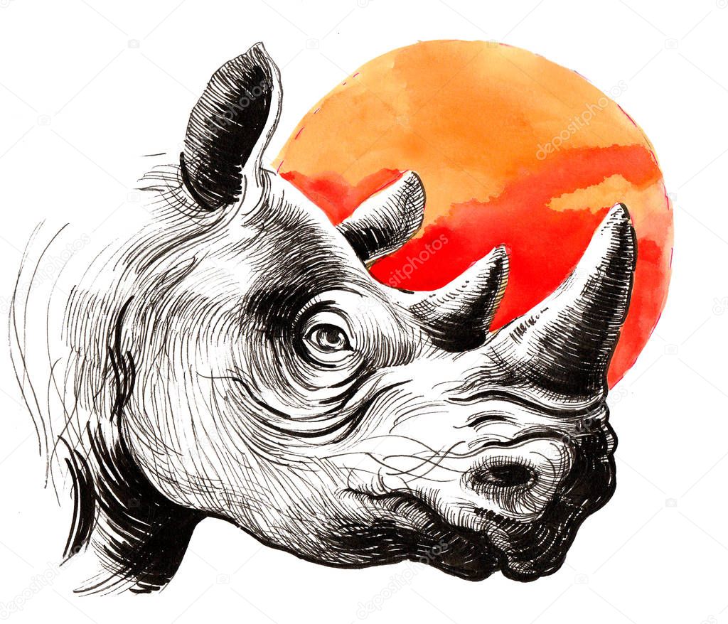 Rhinoceros head and orange sun. Ink and watercolor illustration