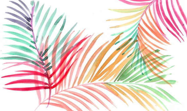 Colorful Palm Leaves Watercolor Painting — 스톡 사진