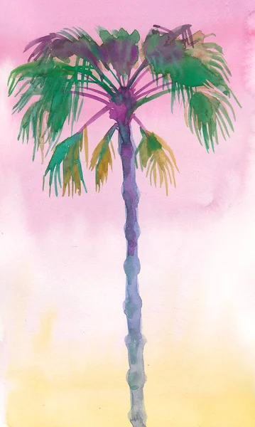 Пальмовое Дерево Красочное Небо Акварель — стоковое фото