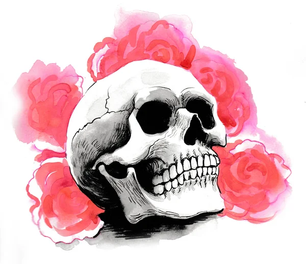 Calavera Humana Rosas Rojas Dibujo Tinta Acuarela —  Fotos de Stock