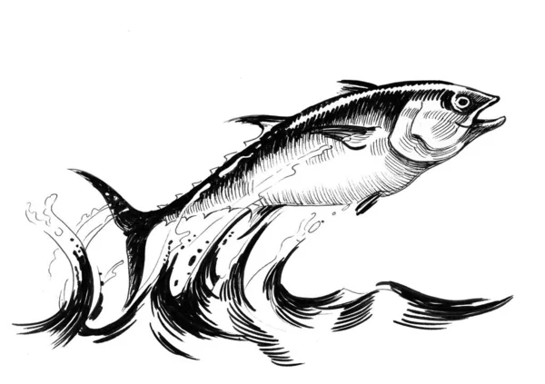 Jumping Tuna Fish Ink Black White Drawing — 스톡 사진