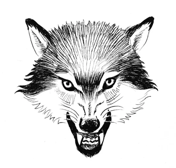 Wściekły Wilk Czarno Biały Rysunek Atramentu — Zdjęcie stockowe