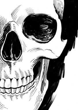 İnsan kafatası. Mürekkep siyah beyaz çizim