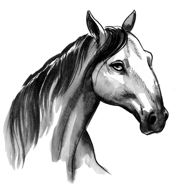 Horse Head Ink Watercolor Drawing — 스톡 사진