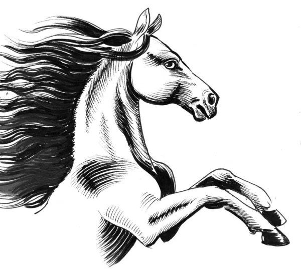 Vild Häst Bläck Svart Och Vitt Ritning — Stockfoto