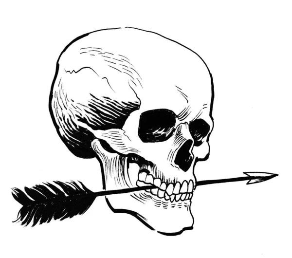 Oklu Insan Kafatası Mürekkep Siyah Beyaz Çizim — Stok fotoğraf
