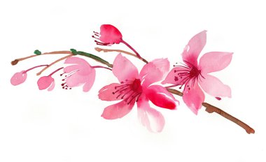 Şu yeni gelişen ağaç. Suluboya resim