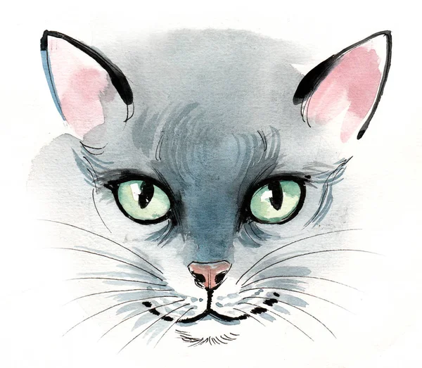 Szary Kot Zielonymi Oczami Ilustracja Tuszu Akwareli — Zdjęcie stockowe
