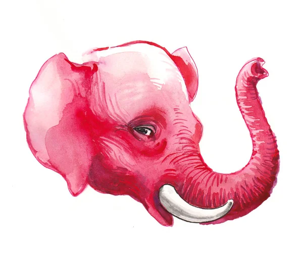 Éléphant Rose Illustration Encre Aquarelle — Photo