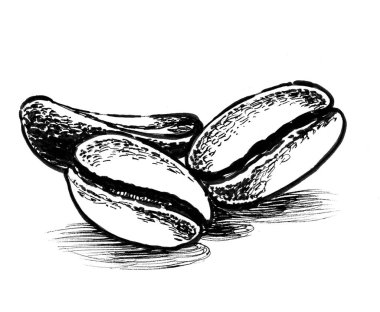 Kahve çekirdeği. Mürekkep siyah beyaz çizim