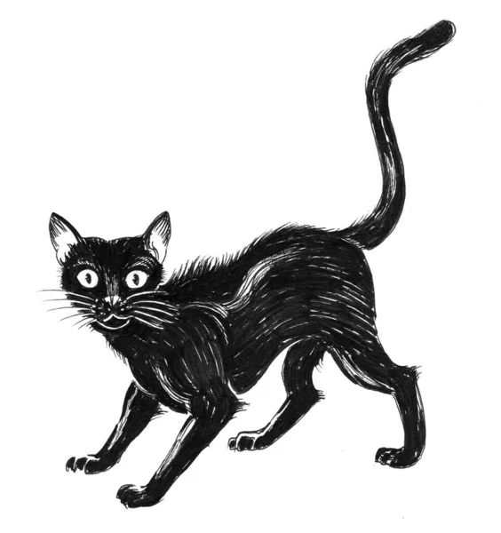 Gato Preto Assustado Tinta Desenho Preto Branco — Fotografia de Stock