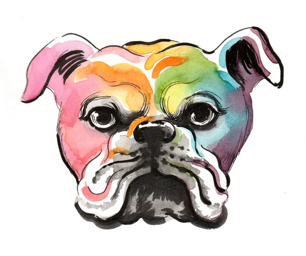 Regnbågsfärgat Bulldogghuvud Bläck Och Akvarell Illustration — Stockfoto