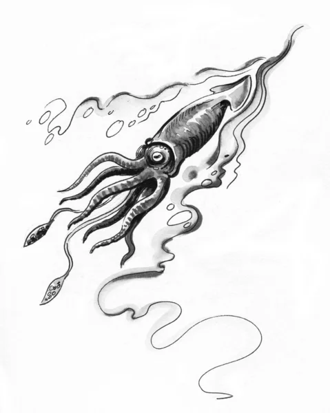 Denizde Mürekkep Balığı Mürekkep Siyah Beyaz Çizim — Stok fotoğraf