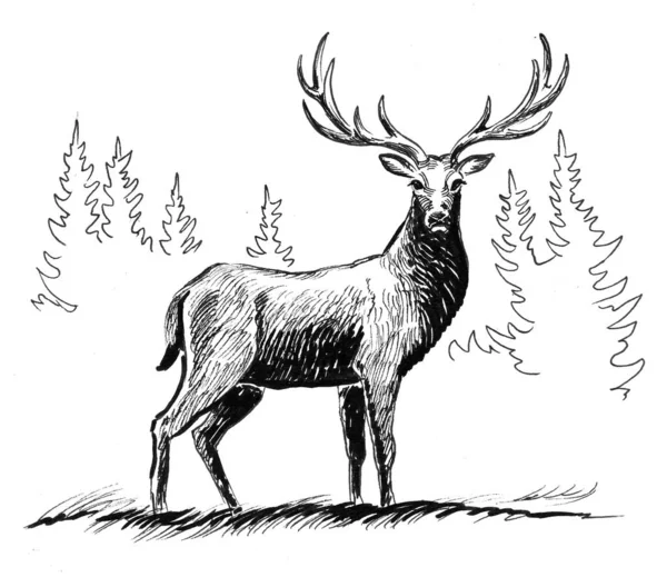 Dziki Jeleń Lesie Czarno Biały Rysunek Atramentu — Zdjęcie stockowe