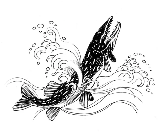 Pike Ikan Dalam Air Gambar Hitam Dan Putih Tinta — Stok Foto