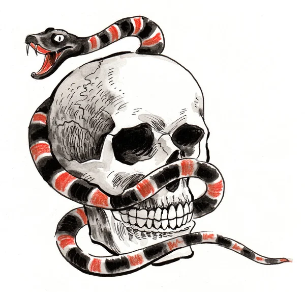 人类头骨和毒蛇墨水和水彩画 — 图库照片